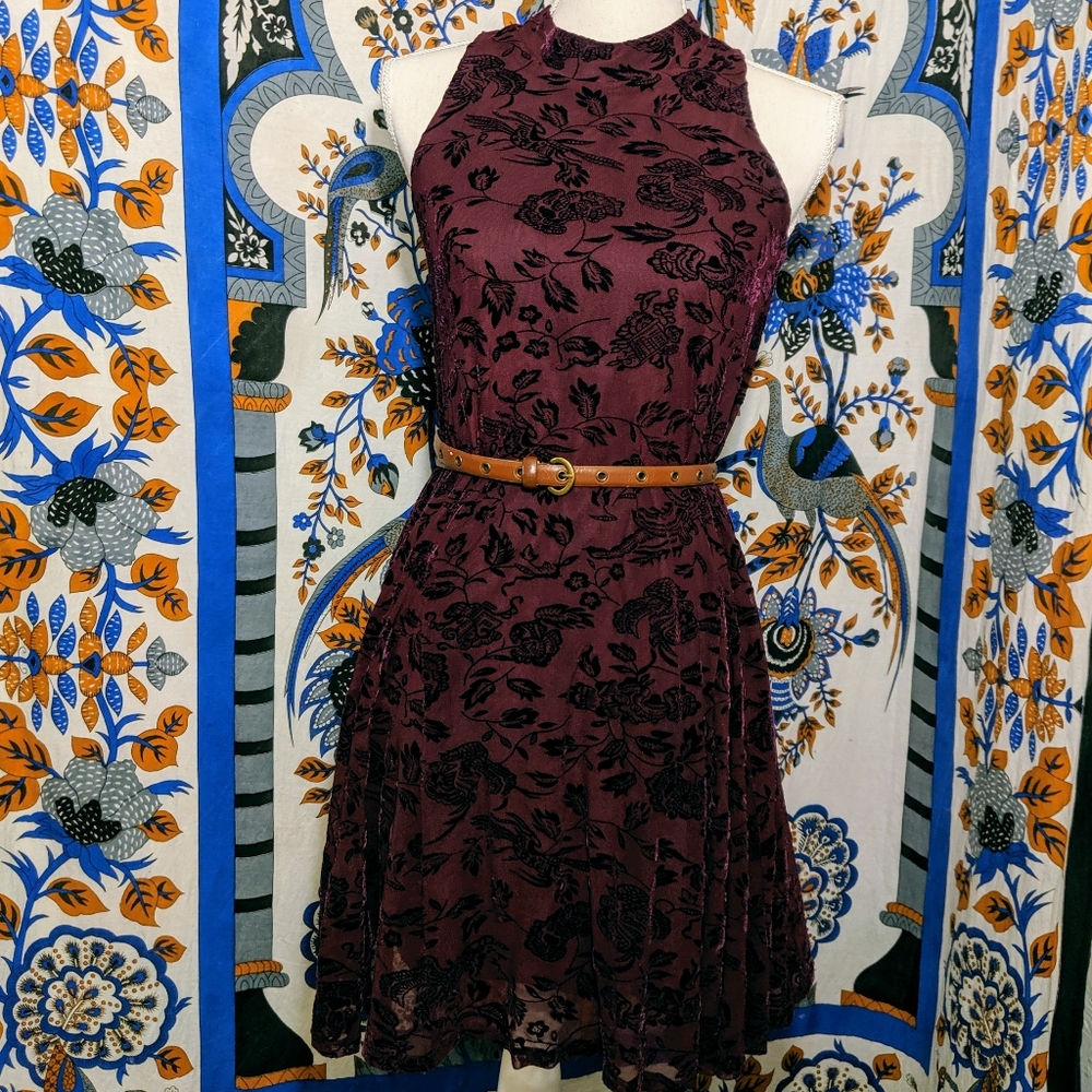 Velvet Vampire Dress